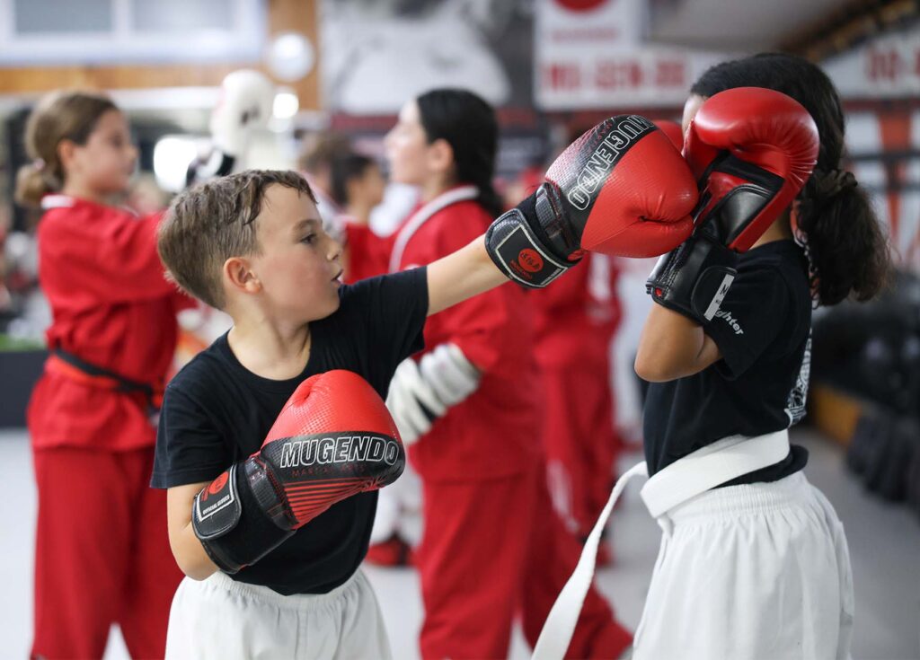 artes marciales vilanova